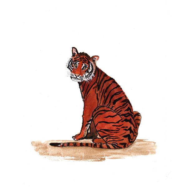 Vincent, de tijger (A3 formaat)